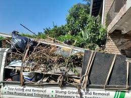 Types of Items We Remove From Your Property in Irving, TX